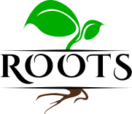 Roots Vegan Kitchen